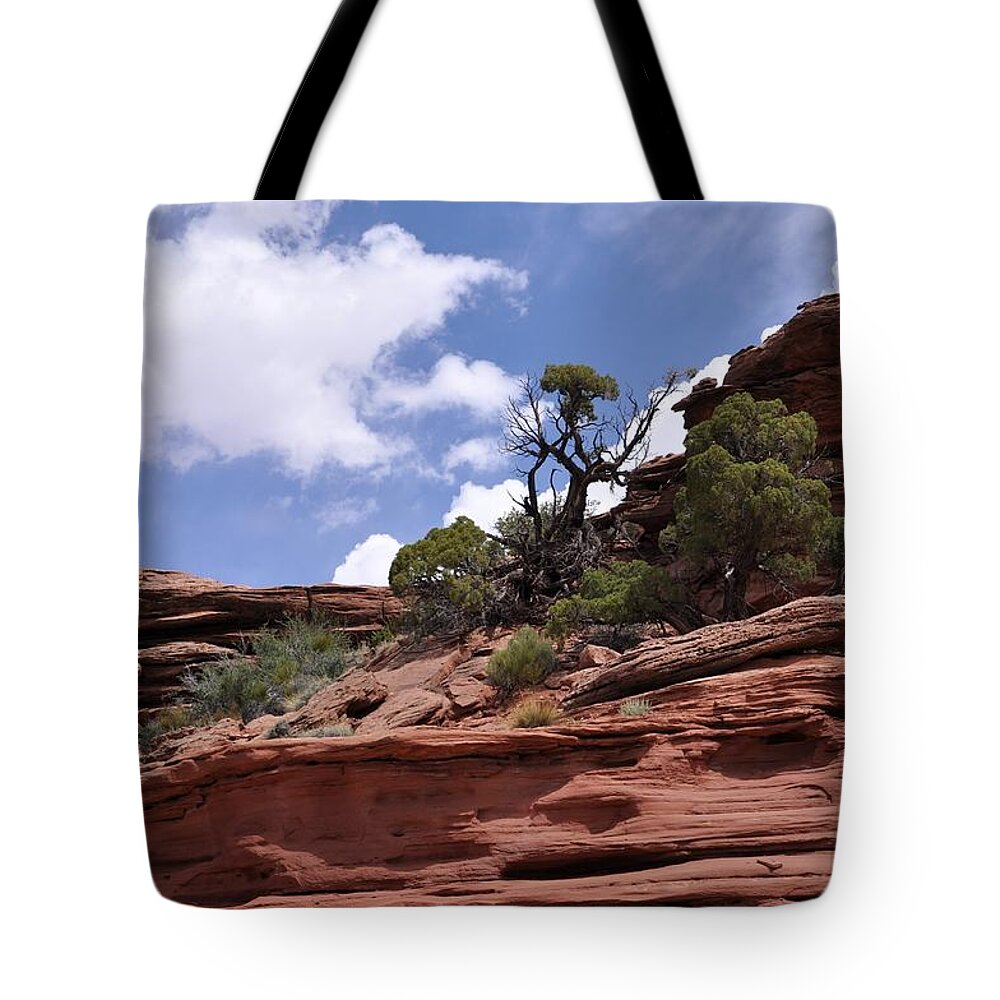 Canyonlands National Park Tote Bag featuring the photograph Layers Upon Layers by Frank Madia