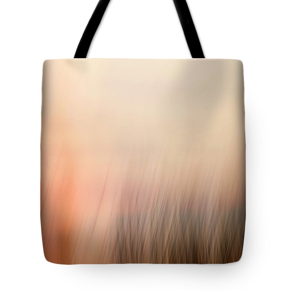 Abstract Expressionism Tote Bag featuring the photograph Laying Low at Sunrise by Marilyn Hunt
