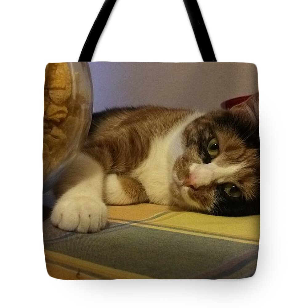 Lady Tote Bag featuring the photograph Lazy Cat by Donato Iannuzzi