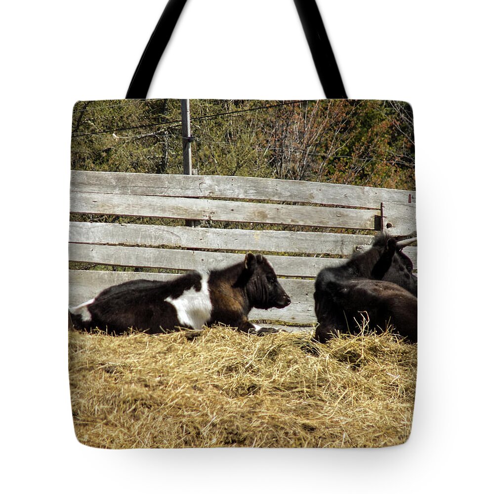 Lazy and Wood Tote Bag by William Tasker - Pixels
