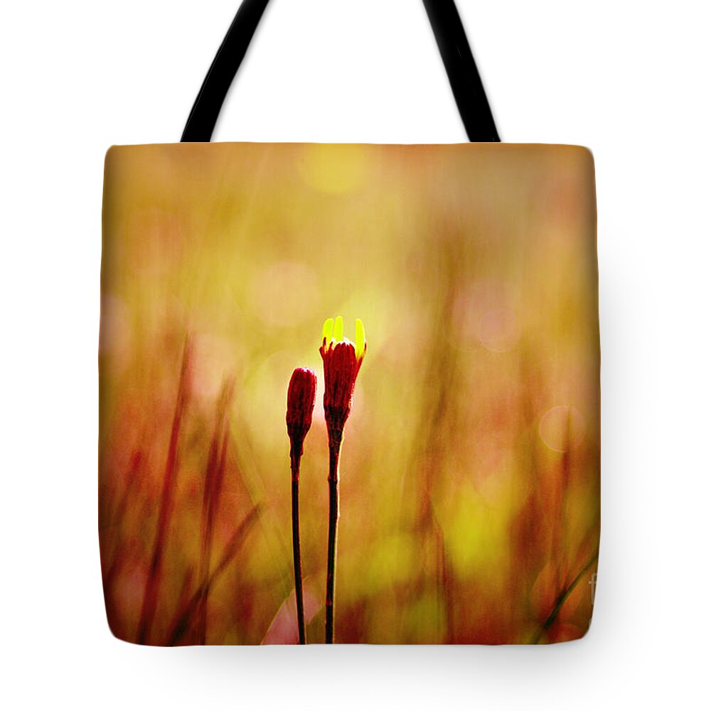 Warm Tote Bag featuring the photograph Le Centre de l'Attention - v04-5 by Variance Collections