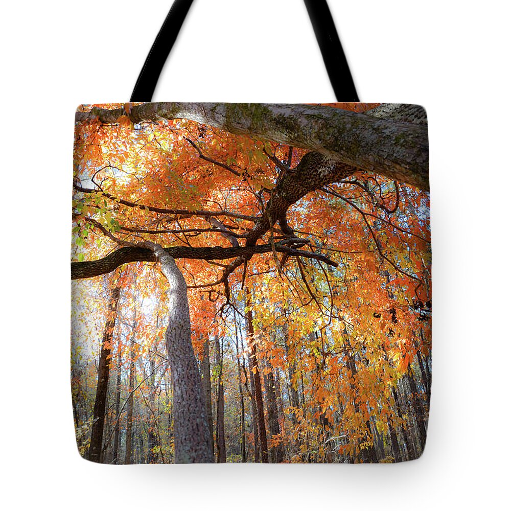 Landscape Tote Bag featuring the photograph Lead the Way - Georgia by Adrian De Leon Art and Photography