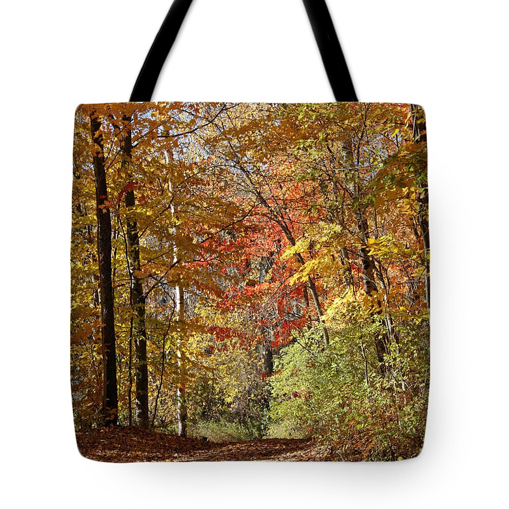 Fall Tote Bag featuring the photograph Leaf covered path by Kathy DesJardins