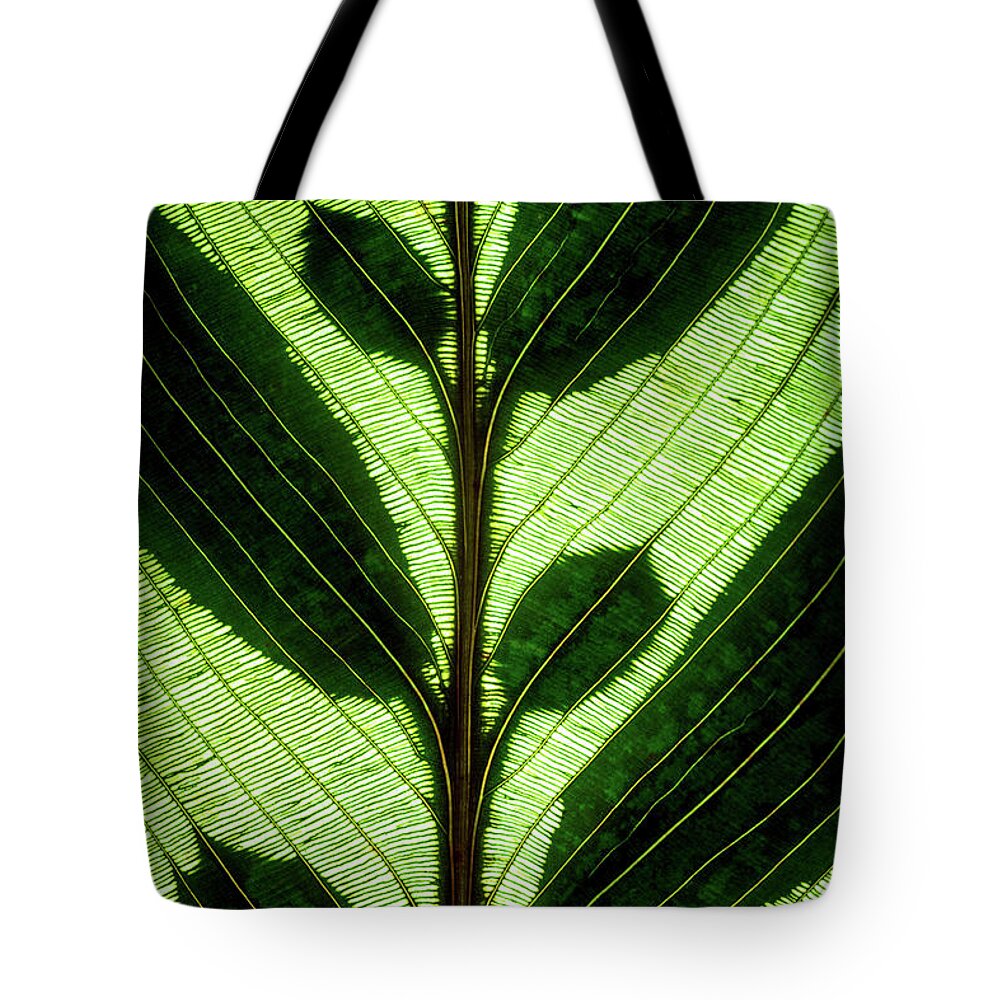 Macro Tote Bag featuring the photograph Leaf Detail by Christopher Johnson