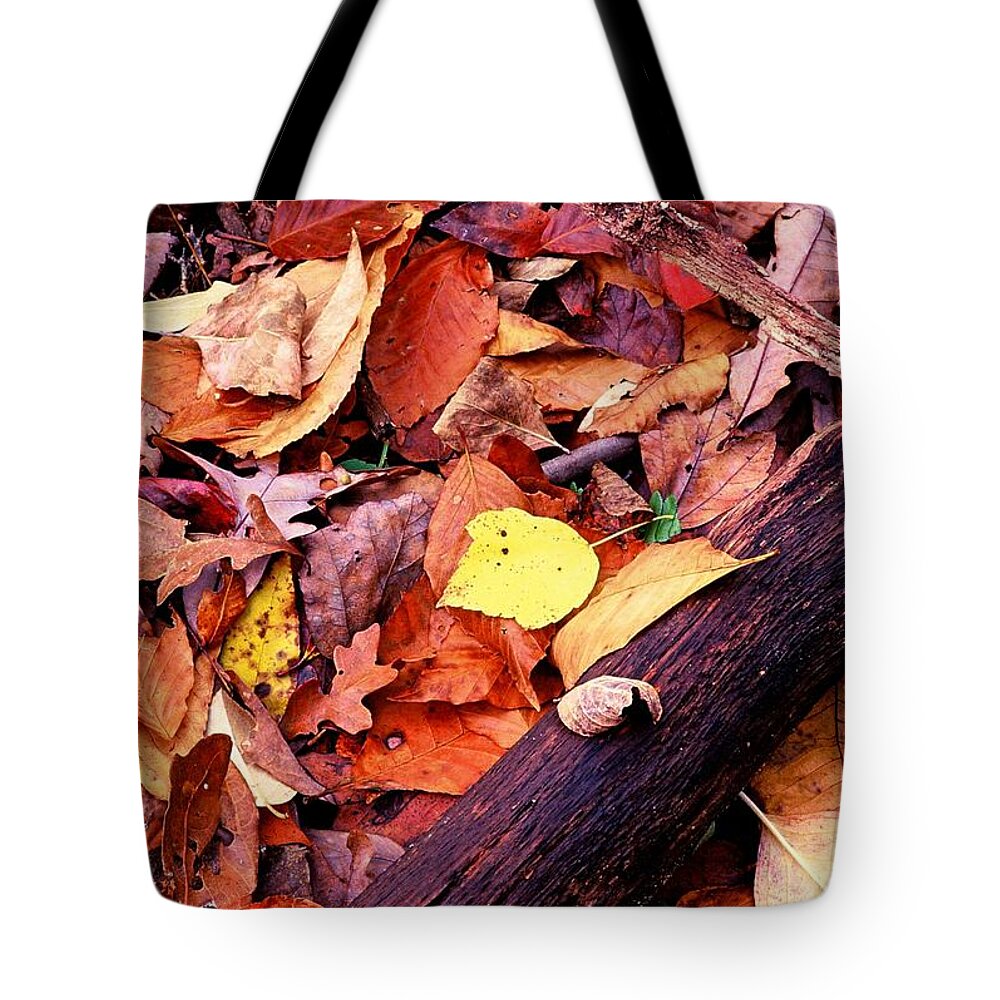 Fine Art Tote Bag featuring the photograph Leaf Illumination by Rodney Lee Williams