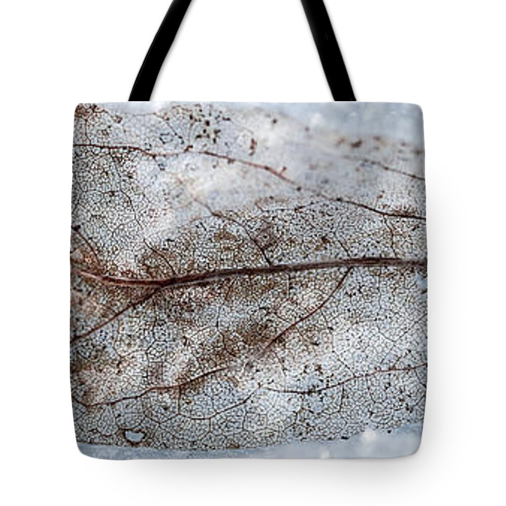 Canada Tote Bag featuring the photograph Leaf by Jakub Sisak