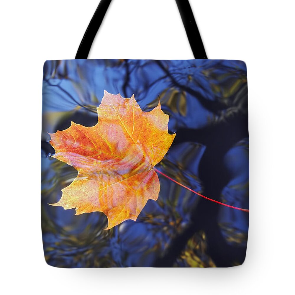 Leaf Tote Bag featuring the photograph Leaf On The Water by Michal Boubin