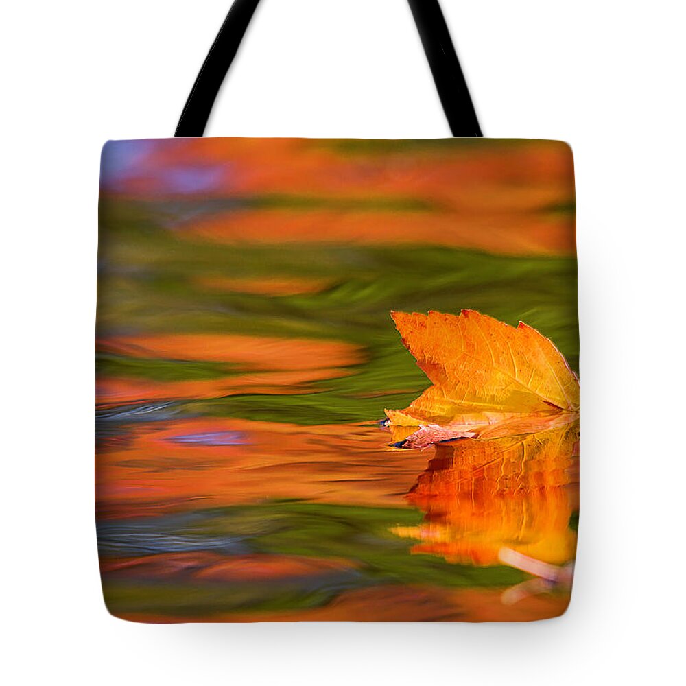 Fall Tote Bag featuring the photograph Leaf on water by Benjamin Dahl