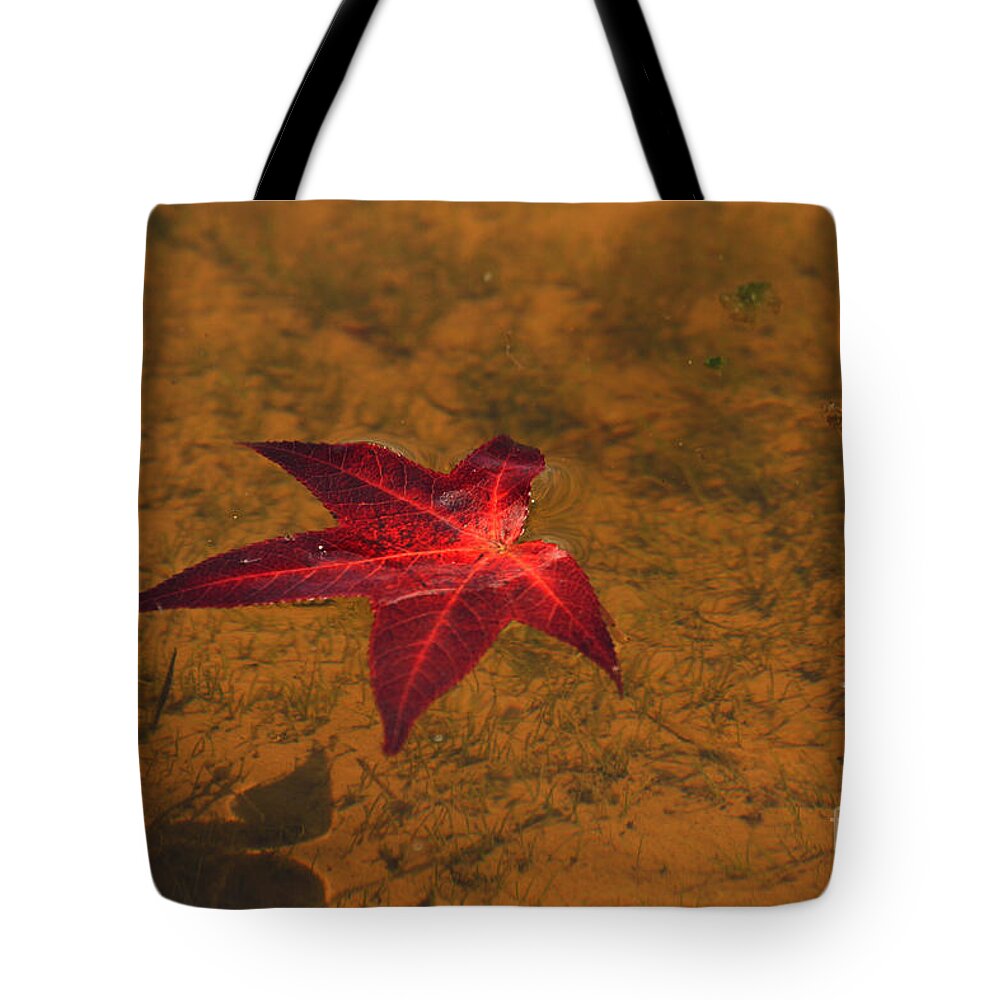 Leaf Shadow Tote Bag featuring the photograph Leaf Shadow by Geraldine DeBoer