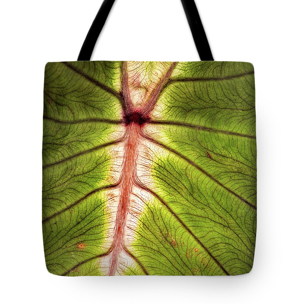 Leaf Tote Bag featuring the photograph Leaf with Veins by Don Johnson