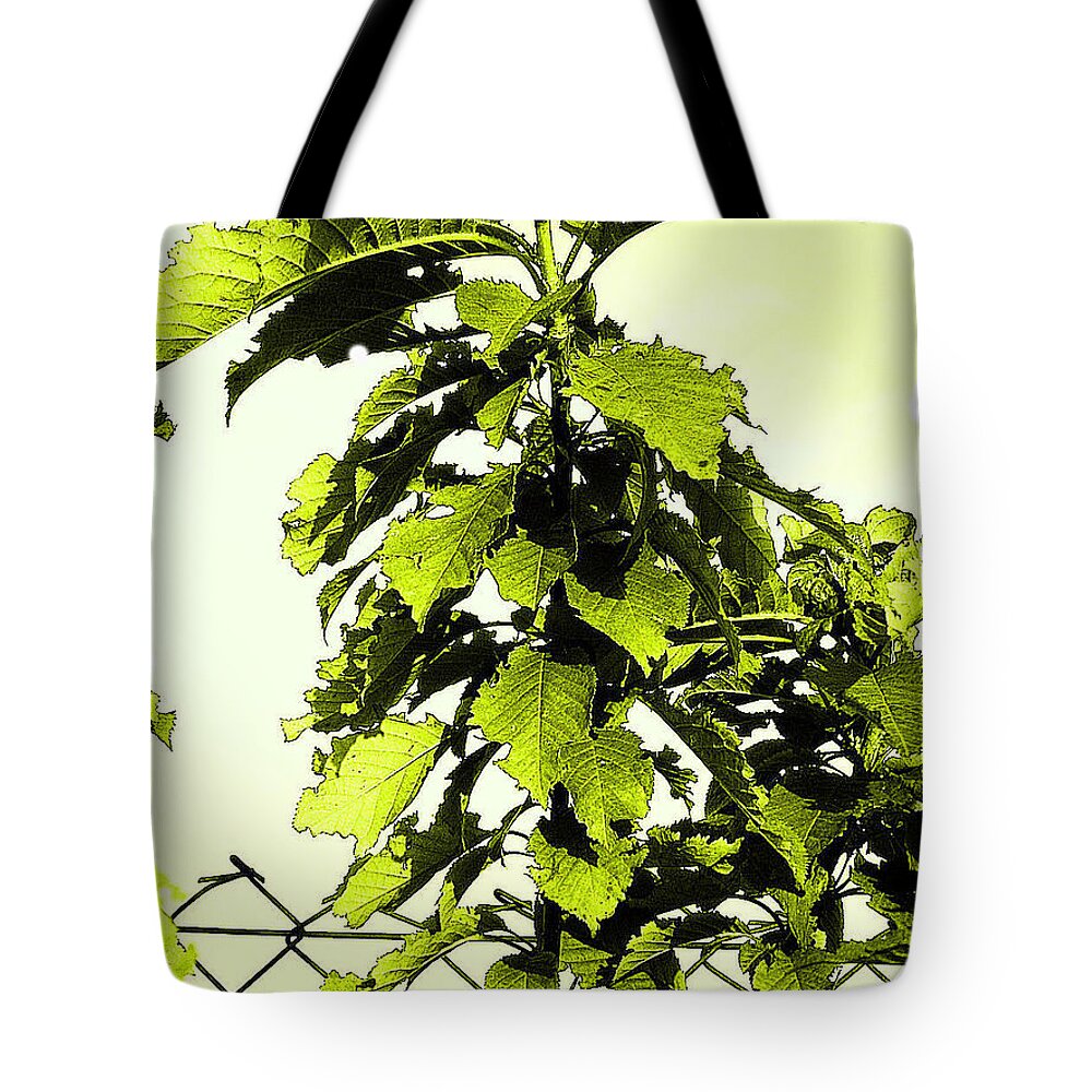 From The Autumn Breaks Forthcoming Photo Album With Music Tote Bag featuring the digital art Leaf34 by The Lovelock experience