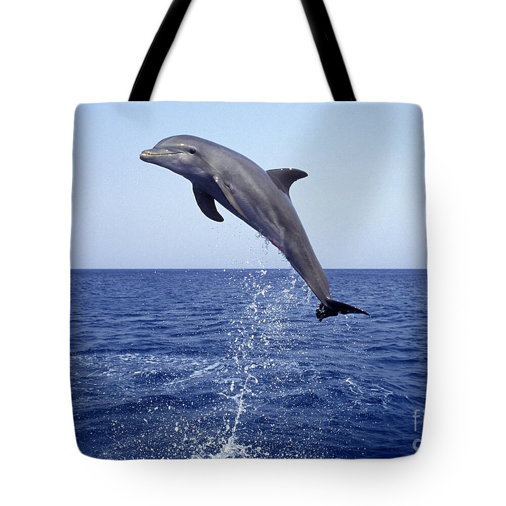 Bottlenose Dolphin Tote Bag featuring the photograph Leaping Bottlenose Dolphin by Francois Gohier