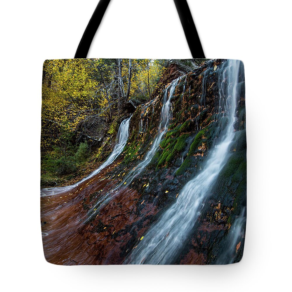 Waterfall Tote Bag featuring the photograph Left Fork Waterfall by Wesley Aston