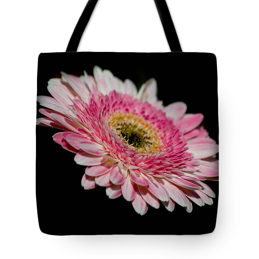 Gerber Tote Bag featuring the photograph Left In The Dark by Trish Tritz