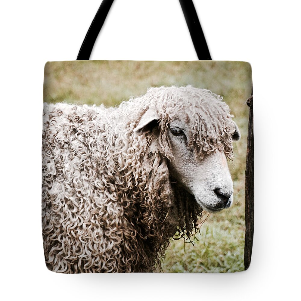 Sheep Tote Bag featuring the photograph Leicester Longwool by Lara Morrison