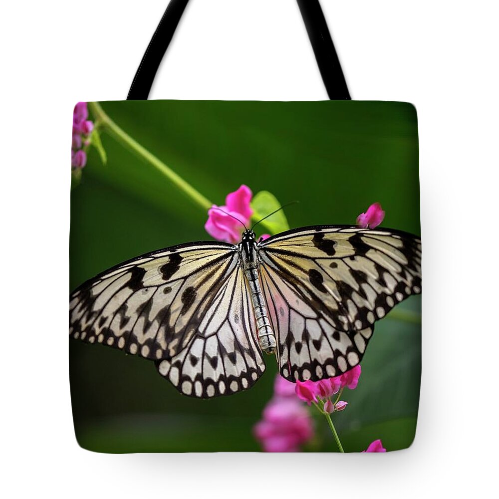 Butterfly Tote Bag featuring the photograph Leisurely Lunch by Harriet Feagin