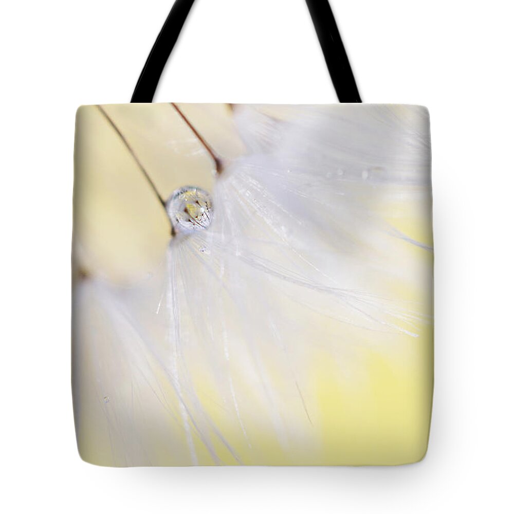 Yellow Wall Art Tote Bag featuring the photograph Lemon Drop by Amy Tyler