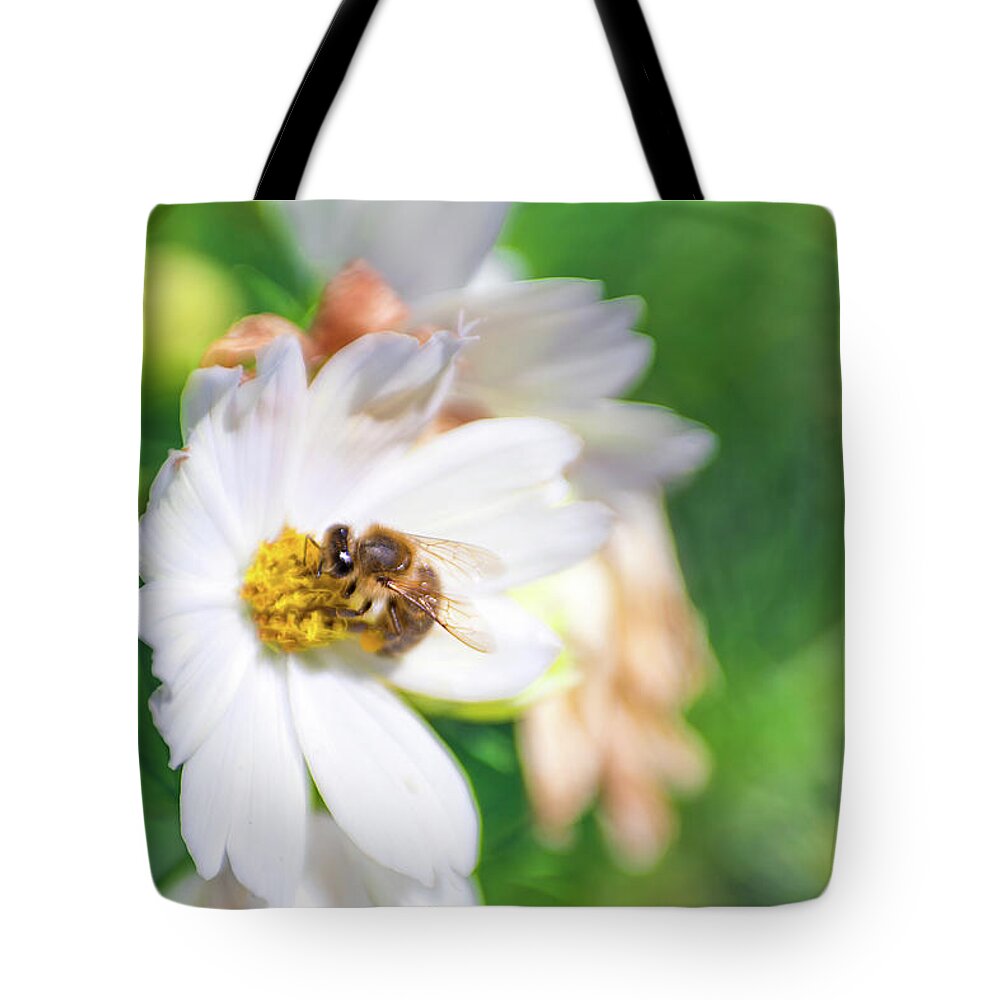 Apiary Bee Bees Buzzing Insect Closeup Close-up Flower Nature Natural Flowers Pollen Outside Outdoors Botanic Botanical Garden Gardening Ma Mass Massachusetts Newengland New England U.s.a. Usa Brian Hale Brianhalephoto Lensbaby Bokeh Lensbabee Soft Focus Softfocus Tote Bag featuring the photograph LensbaBee 1 by Brian Hale