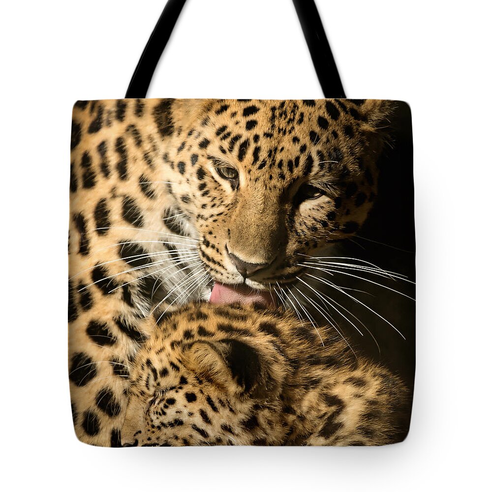 Amur Tote Bag featuring the photograph Leopard Cub Love by Chris Boulton