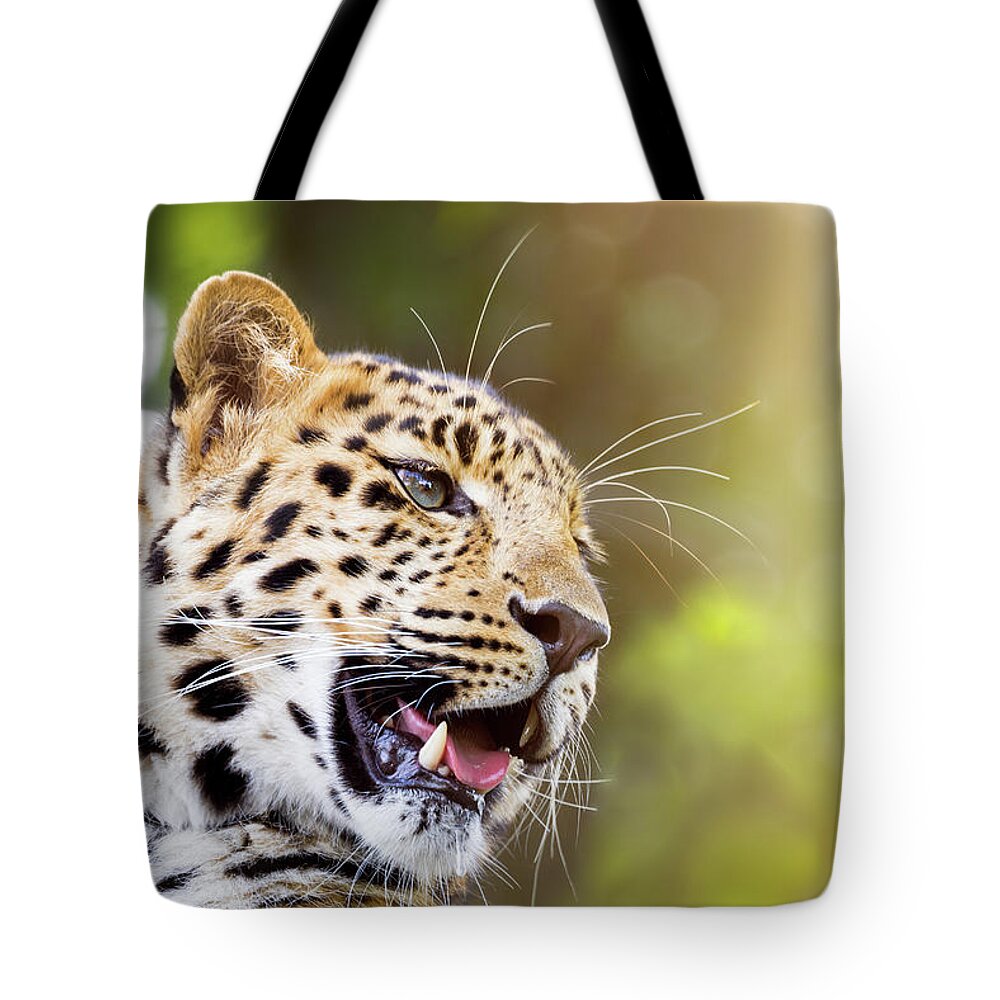 Leopard Tote Bag featuring the photograph Leopard in sunlight by Jane Rix