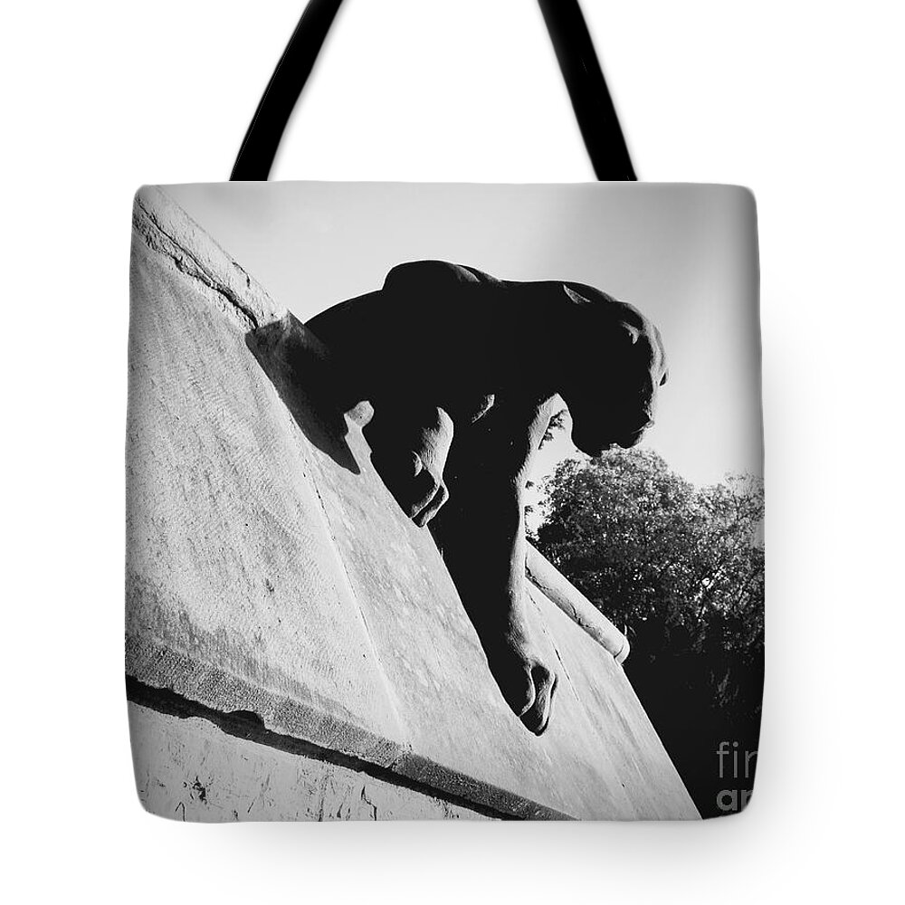 Leopard Tote Bag featuring the photograph Leopard on the Wall by Rachel Morrison