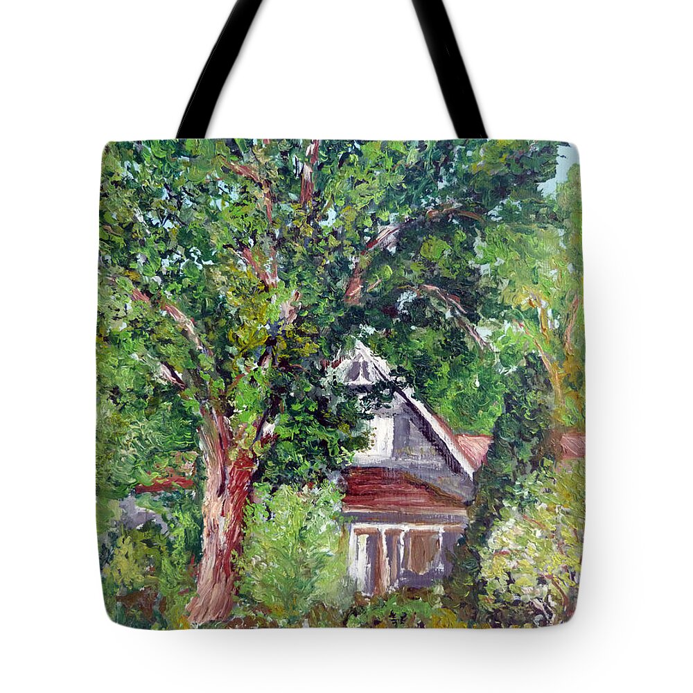 Ralph\'s House Tote Bag featuring the painting Lesher Homestead Boulder CO by Tom Roderick
