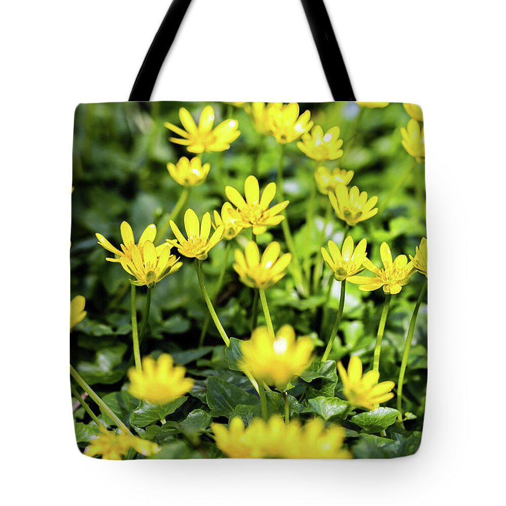 Lesser Celandine Tote Bag featuring the photograph Lesser Celandine by Nick Bywater