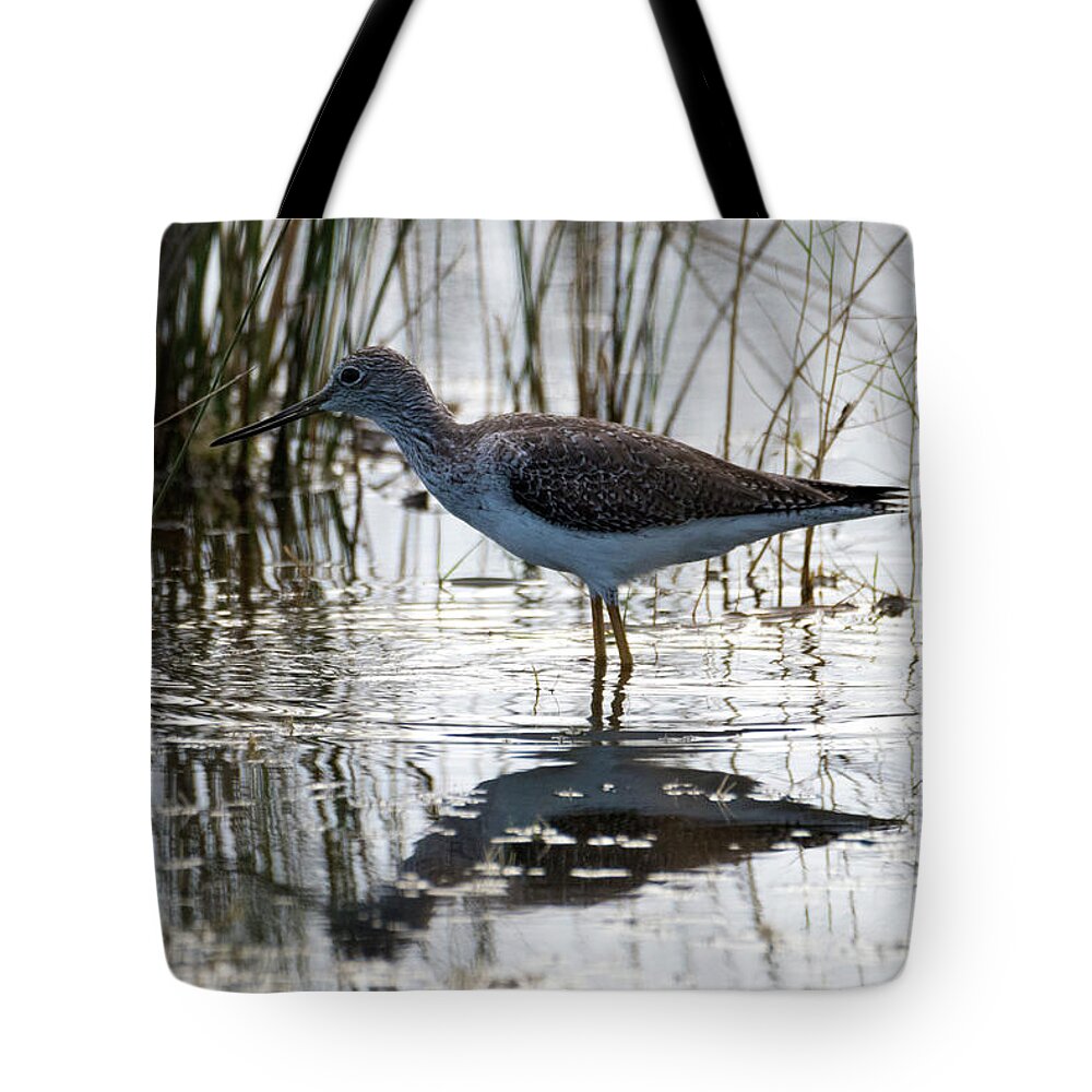 Lesser Yellowlegs Tote Bag featuring the photograph Lesser Yellowlegs by Michael Dawson