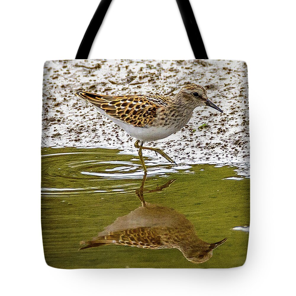 Sandpiper Tote Bag featuring the photograph Lest Sandpiper by Jerry Cahill