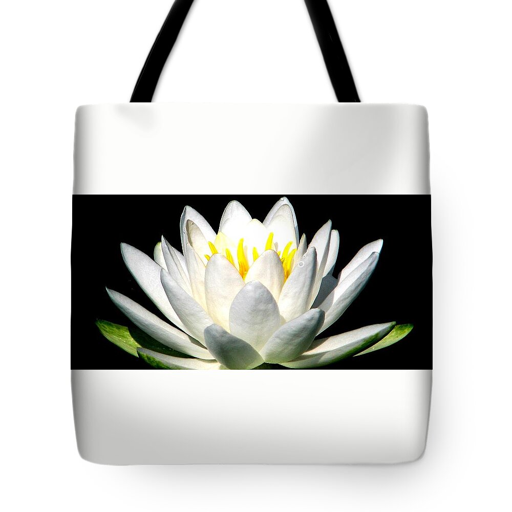 White Water Lily Tote Bag featuring the photograph Let It Go by Angela Davies