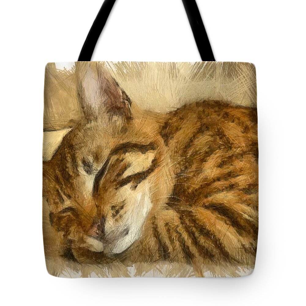 Tabby Cat Tote Bag featuring the drawing Let Sleeping Cats Lie by Taiche Acrylic Art
