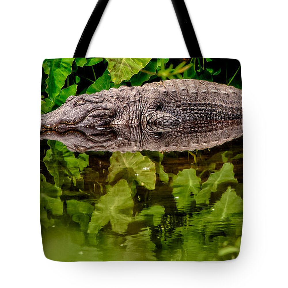 Alligator Tote Bag featuring the photograph Let Sleeping Gators Lie by Christopher Holmes