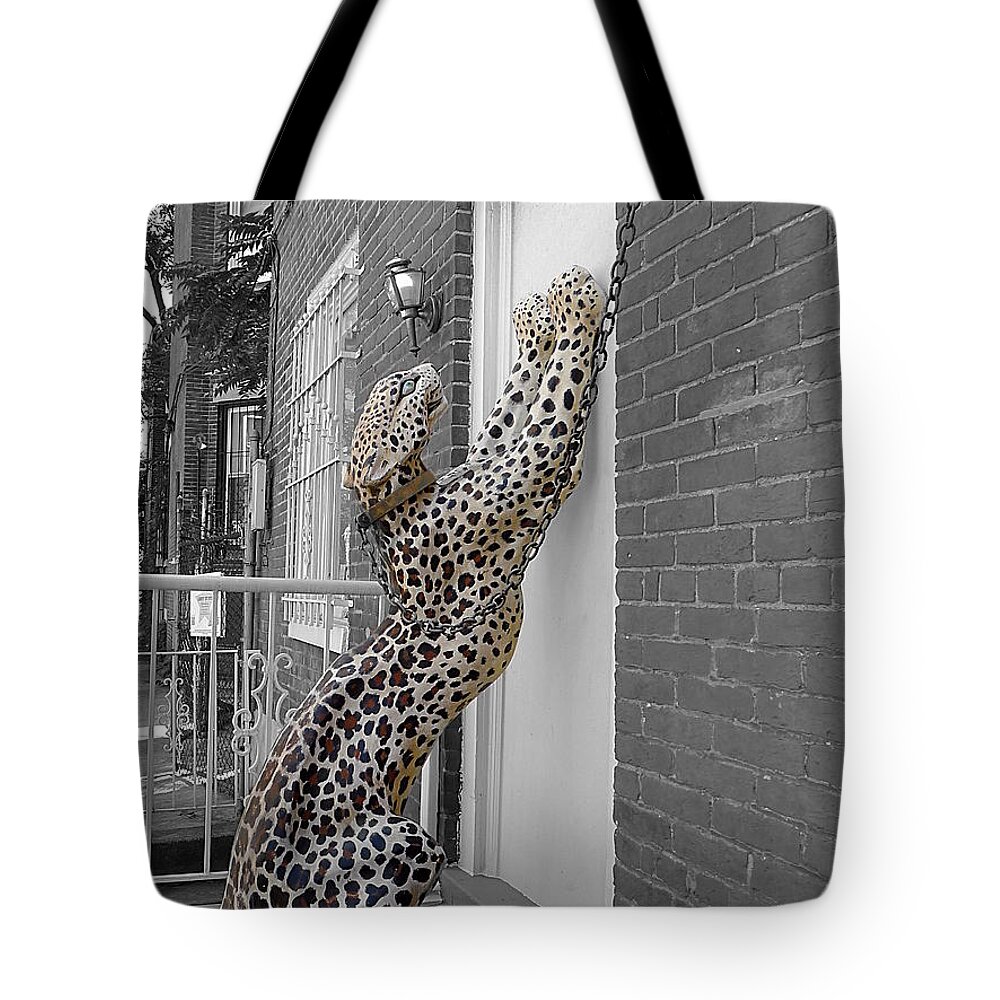 Richard Reeve Tote Bag featuring the photograph Let the Cat In by Richard Reeve