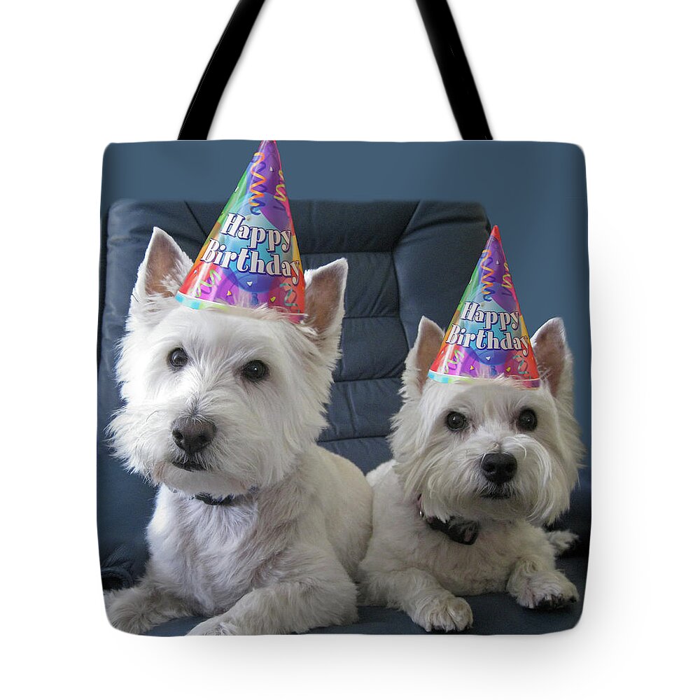 Birthday Tote Bag featuring the photograph Let's Pawty by Geraldine Alexander