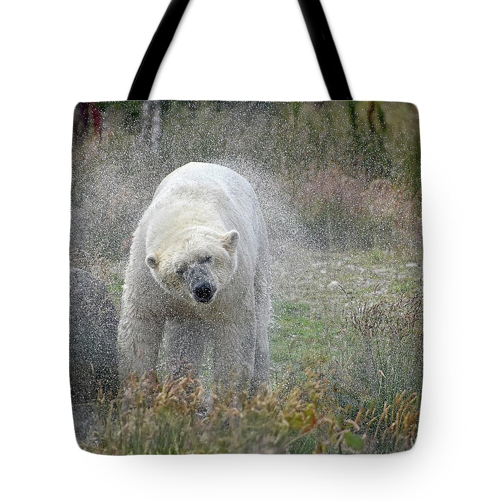 Polar Bear Tote Bag featuring the photograph Lets Twist Again by Kuni Photography