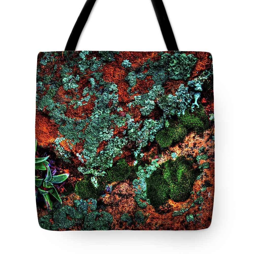 Arizona Tote Bag featuring the photograph Lichen, Moss and Desert Sage by Roger Passman