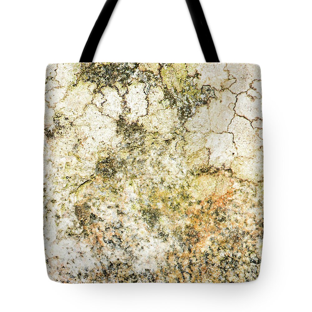 Background Tote Bag featuring the photograph Lichen on a stone, background by Torbjorn Swenelius