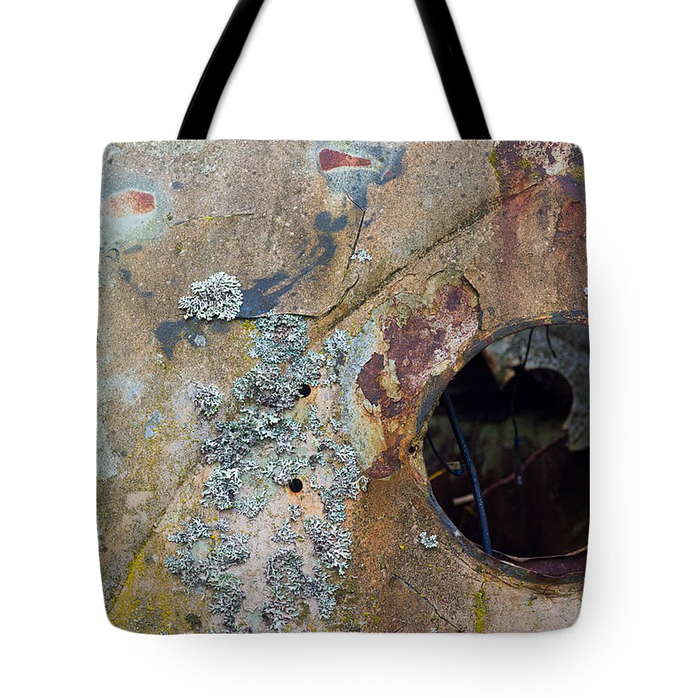 Mount Shasta Tote Bag featuring the photograph Lichen on VW Bus Nose by Richard Kimbrough