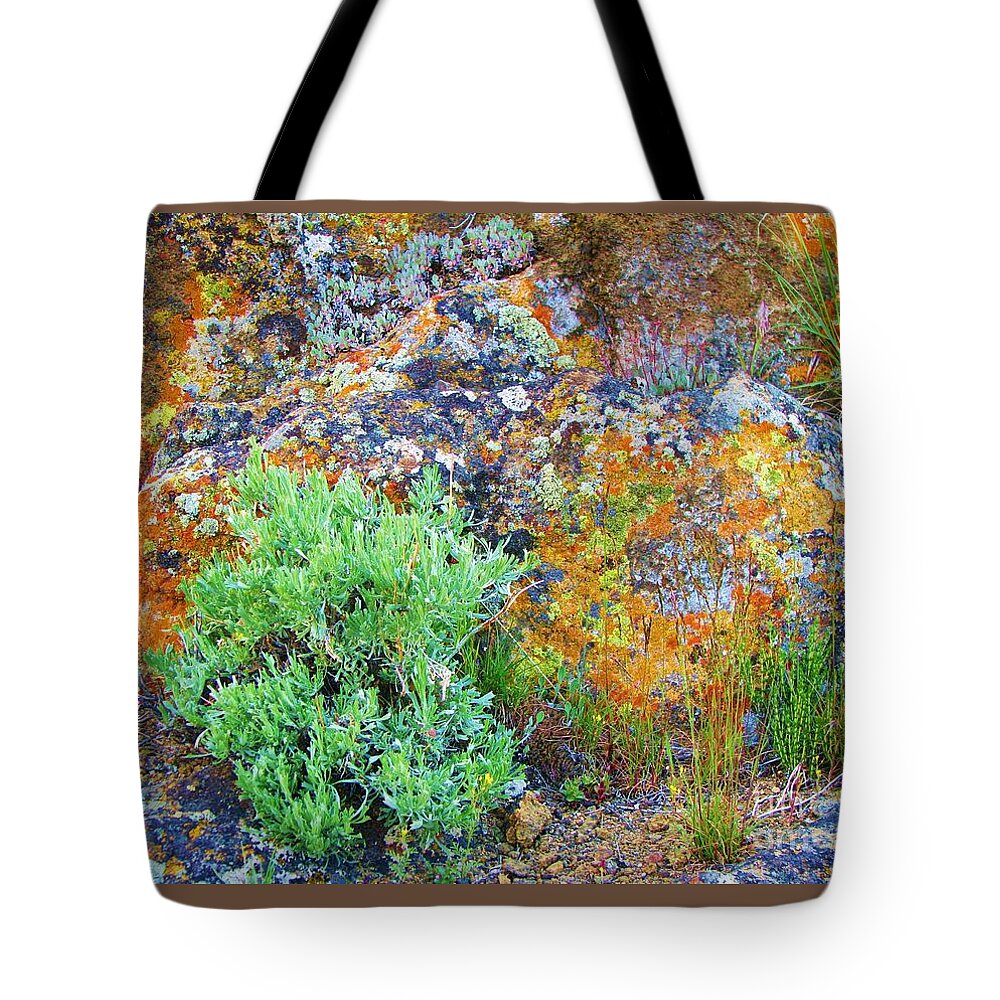 Sagebrush Tote Bag featuring the photograph Lichen Rainbow  by Michele Penner
