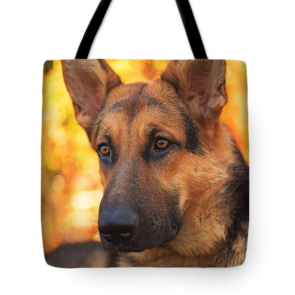 Animal Tote Bag featuring the photograph Liesl by Brian Cross