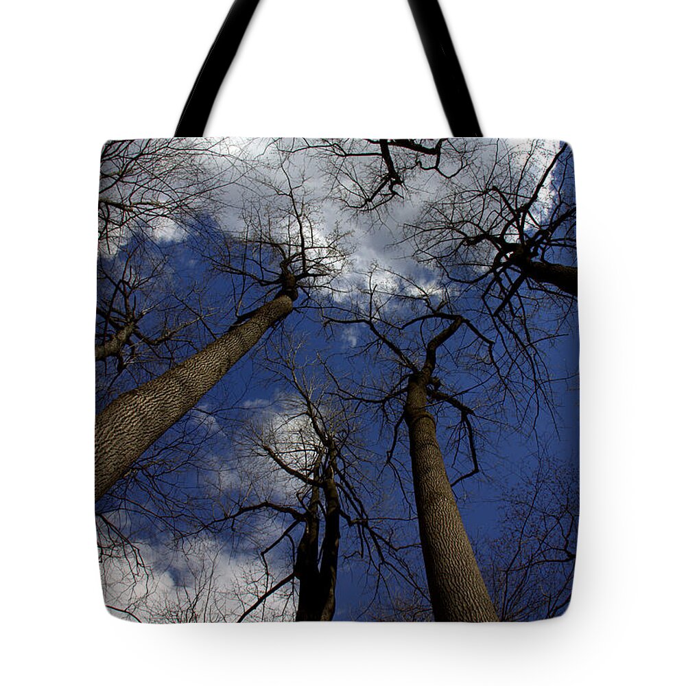 Life Above Tote Bag featuring the photograph Life Above by Edward Smith