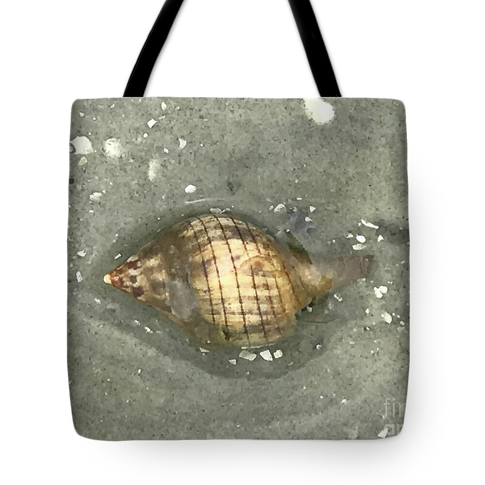 Shell Tote Bag featuring the digital art Life In A Shell by Jan Gelders