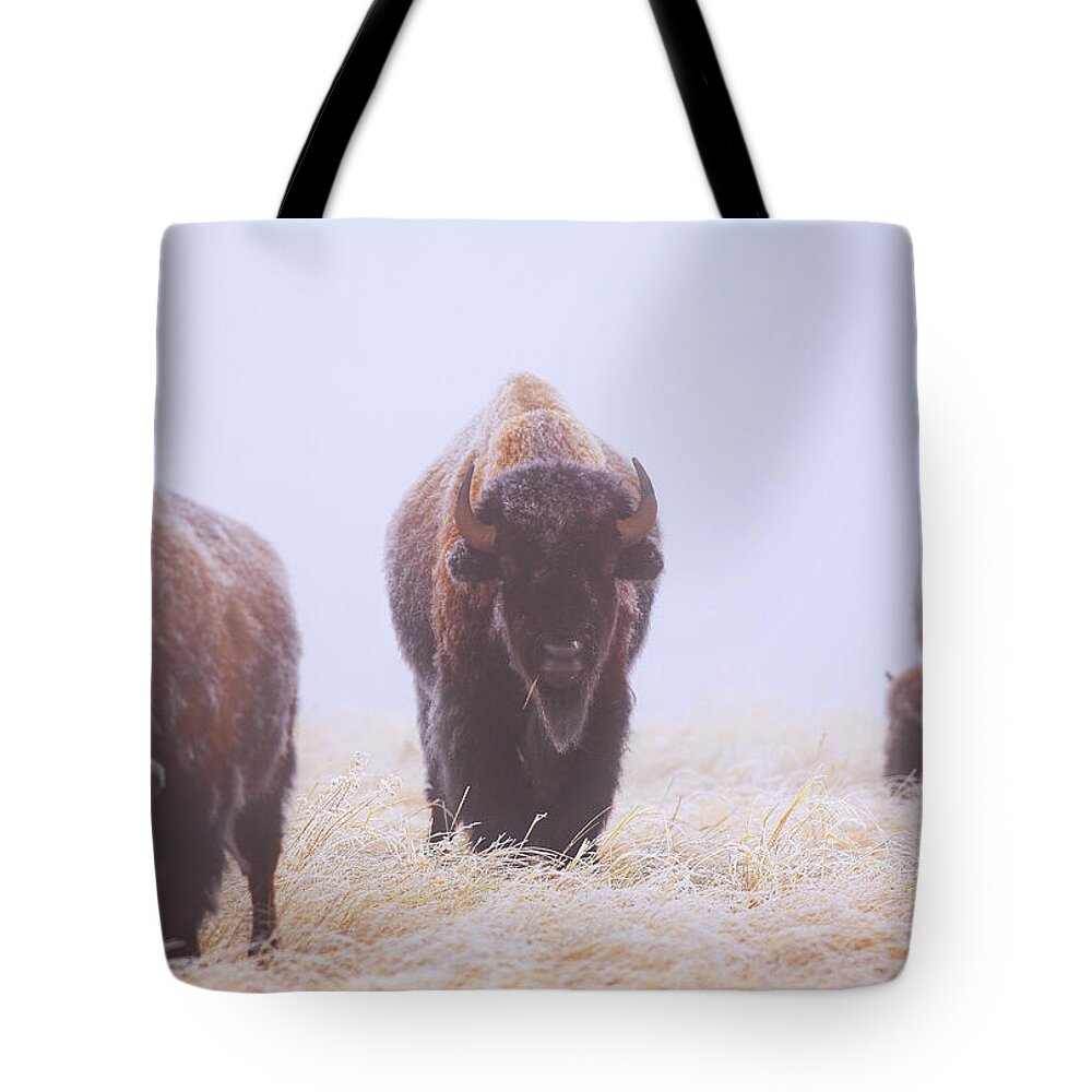 Fog Tote Bag featuring the photograph Life Must Go On by Kadek Susanto