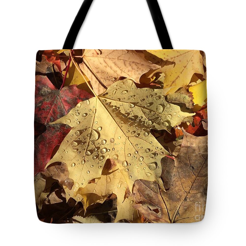 Fall Tote Bag featuring the photograph Life Never fall-s by Donato Iannuzzi