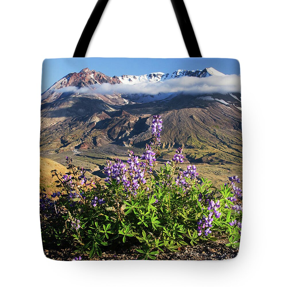 Mount Tote Bag featuring the photograph Life will find a way by Patrick Campbell