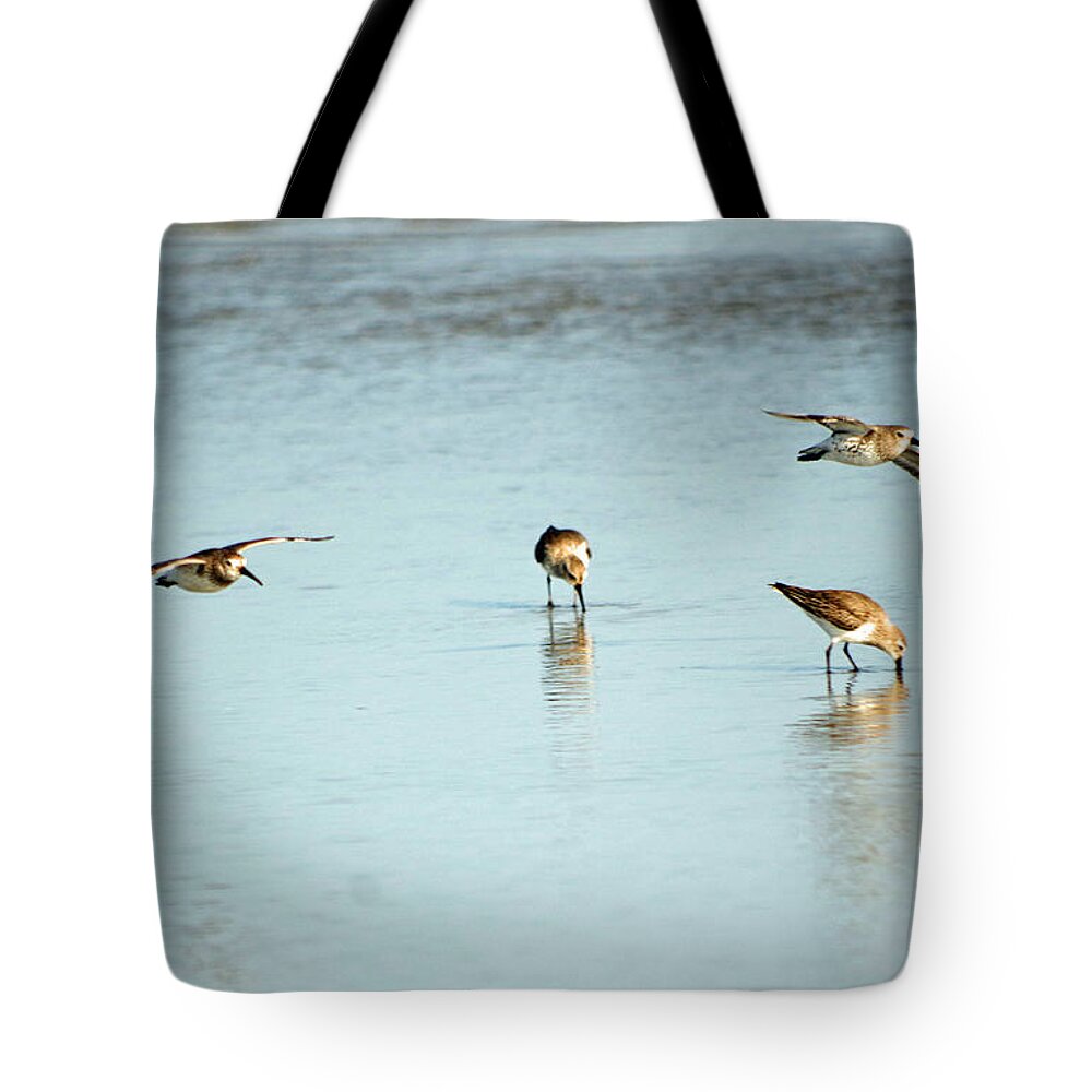 Beach Tote Bag featuring the photograph Life's a Beach by Greg Graham