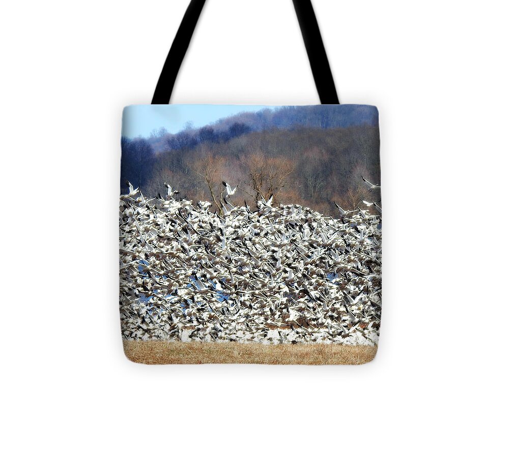 Lift Off Tote Bag featuring the photograph Lift Off by Dark Whimsy