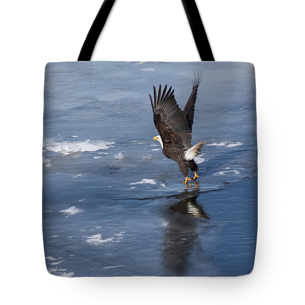 Bald Eagle Tote Bag featuring the photograph Lift off by Don Anderson
