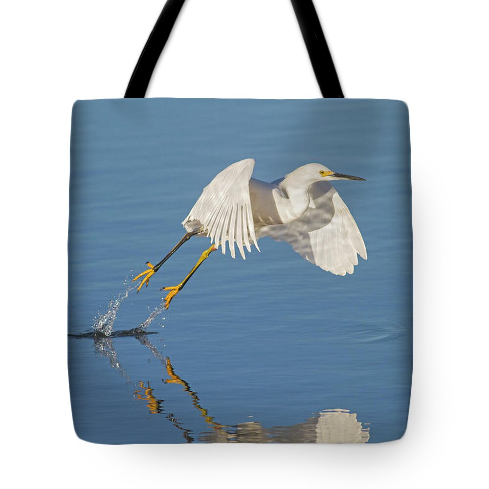Egret Tote Bag featuring the photograph Lift Off- Snowy Egret by Mark Miller