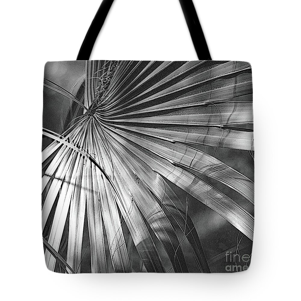 Palm Tote Bag featuring the photograph Light and Lines by Carol Lloyd